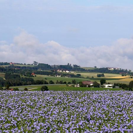 Ferienhof Neundlinger Niederwaldkirchen ภายนอก รูปภาพ