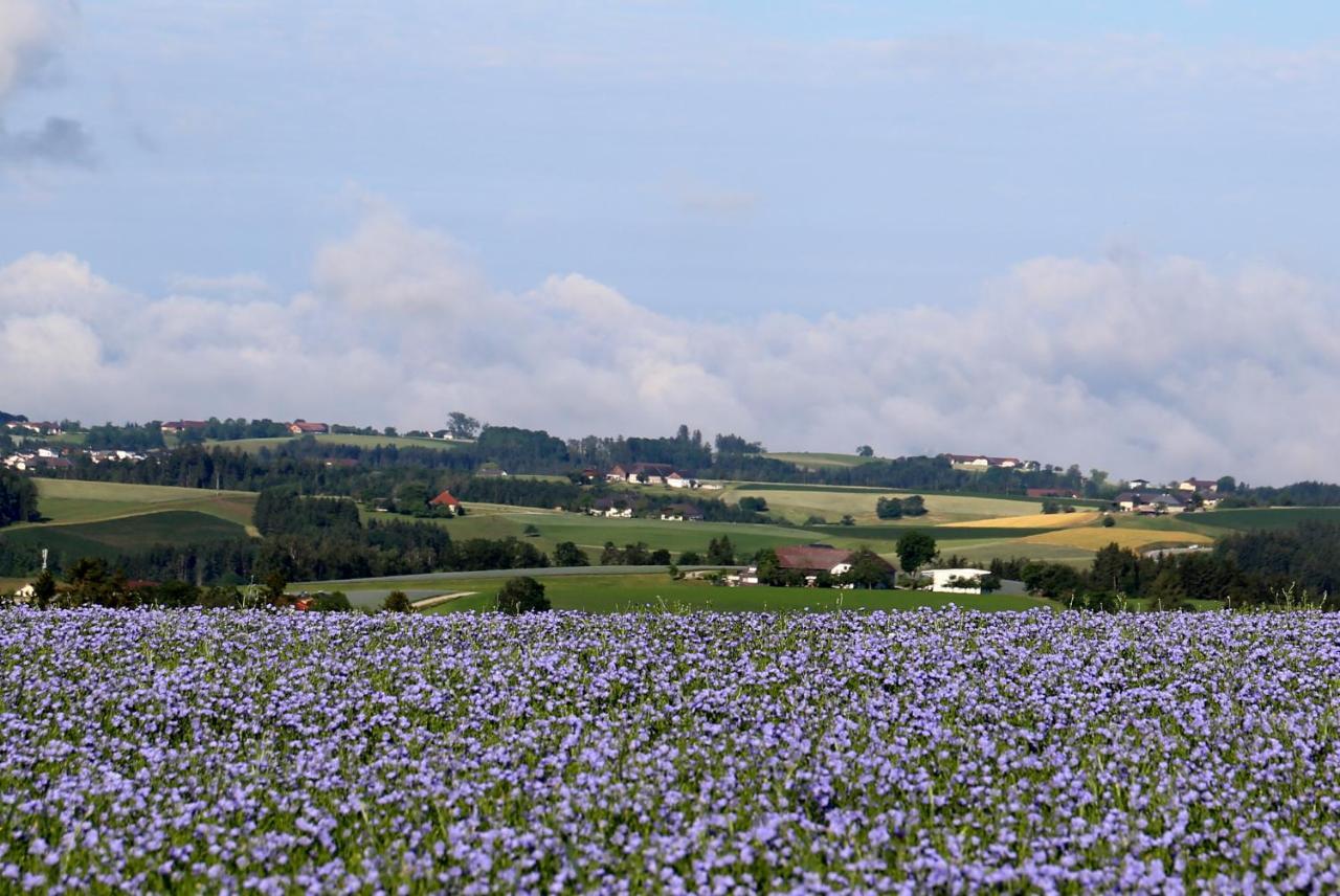 Ferienhof Neundlinger Niederwaldkirchen ภายนอก รูปภาพ